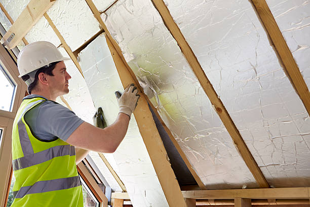 Best Insulation Maintenance and Repair in Warrington, FL